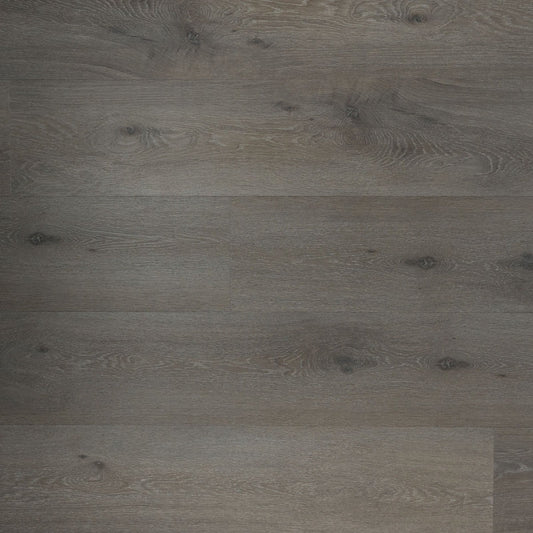 Douwes Dekker - Ambitieus Riante Plank - Dryback