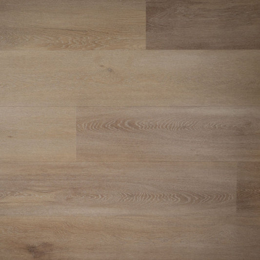 Douwes Dekker - Ambitieus Riante Plank - Dryback