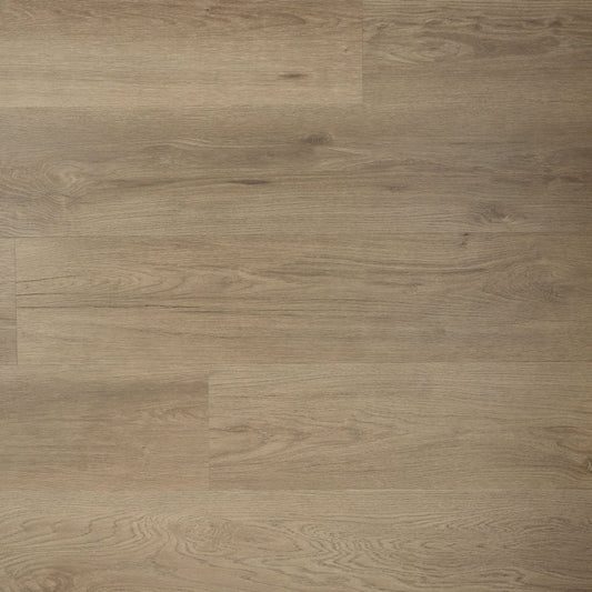 Douwes Dekker - Ambitieus Riante Plank - Click