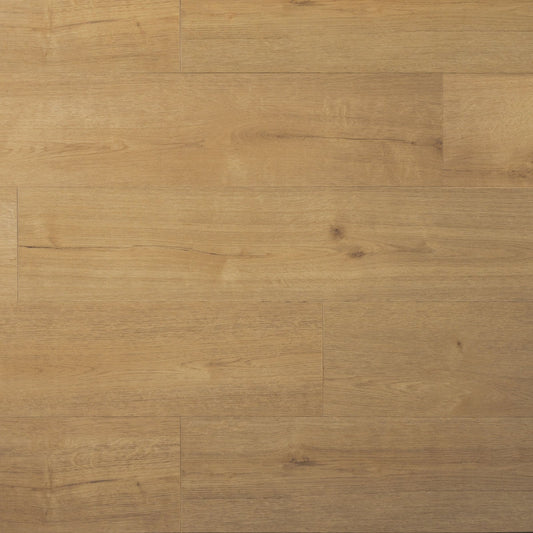 Douwes Dekker - Praktisch Plank - Dryback