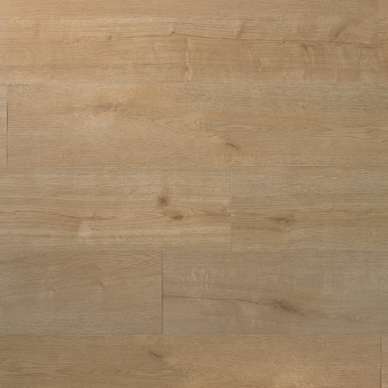 Douwes Dekker - Praktisch Plank - Dryback