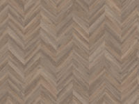 Mflor - Parva Oak Chevron - 42213 - Calabria - Dryback