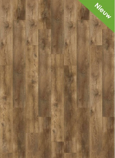 Gelasta - Nevada - 7002 - Valley Oak Cinnamon - Rigid Click