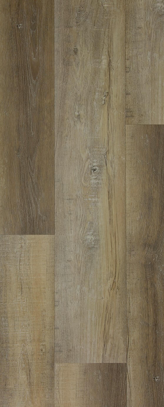 TFD on the Floor - Heritage A 2 - Dryback