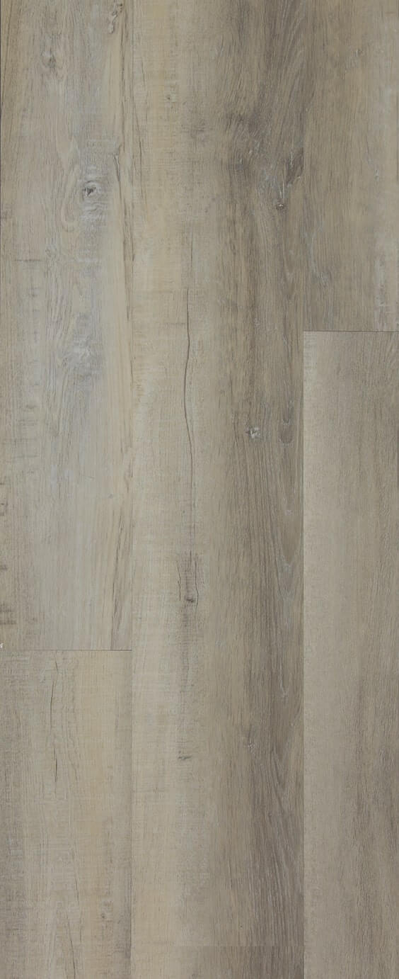 TFD on the Floor - Heritage B 3 - Dryback