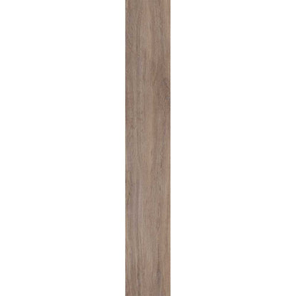Belakos - 200 - Castello XL - 1955 - Dryback