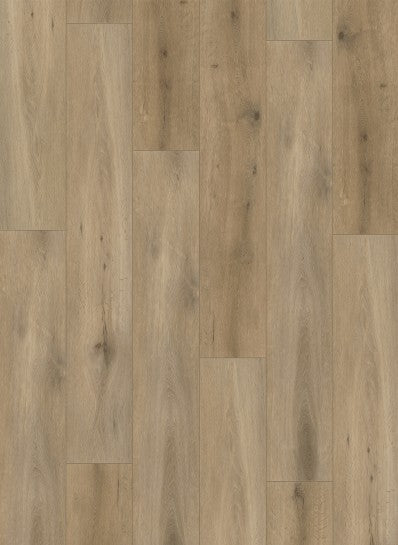 Gelasta - Callisto - 4103 - Natural Oak Smoked - Dryback