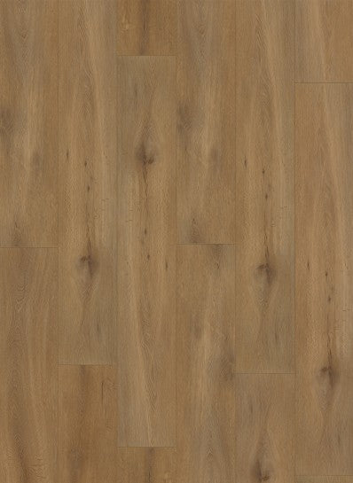 Gelasta - Callisto - Rigid Click