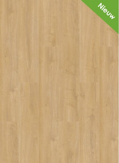 Gelasta - Oakland - 7102 - Desert - Rigid Click