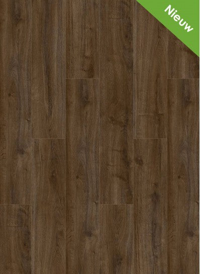 Gelasta - Oakland - 6103 - Coffee - Dryback