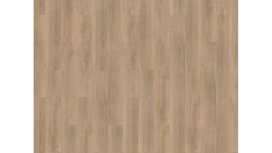 River Oak - 63019 - Rhone - Dryback