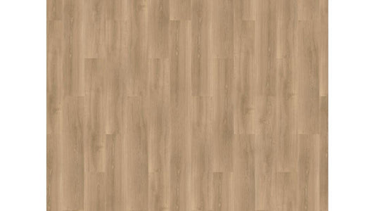River Oak - 63029 - Tarn - Dryback